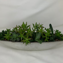 Load image into Gallery viewer, Succulent Boat
